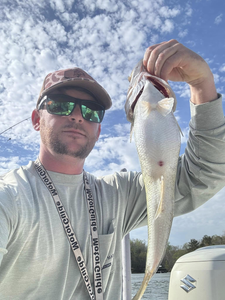 Cast Away in Hartwell Water
